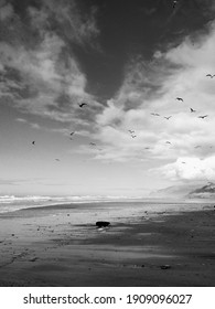 Partly Cloudy Beach Day With The Birds