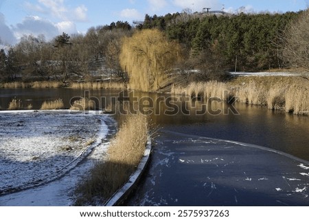 Similar – Image, Stock Photo Partly frozen lake with a view of the snow-covered fir forest