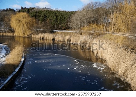Similar – Image, Stock Photo Partly frozen lake with a view of the snow-covered fir forest