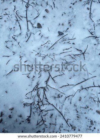 Partly frozen snow in winter, different shapes of ice, grass frozen and exposed under the ice.
