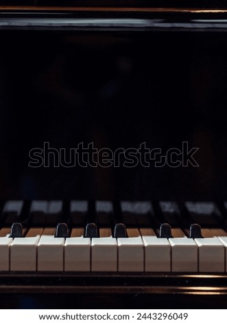 Parts of a grand piano, strings, keyboard, bridge, strut, sound board, harp
