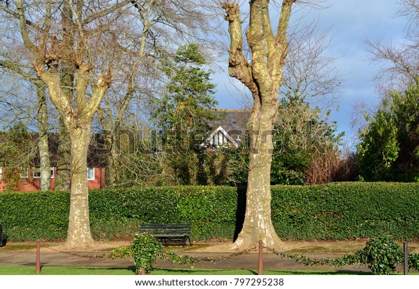Parts Wellington Park Somerset Uk Iron Stock Photo Edit Now
