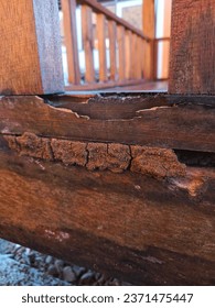 Parts of the wooden house are porous due to being eaten by termites.