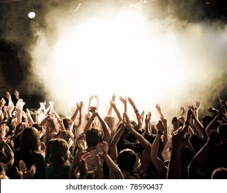 Party people at a concert