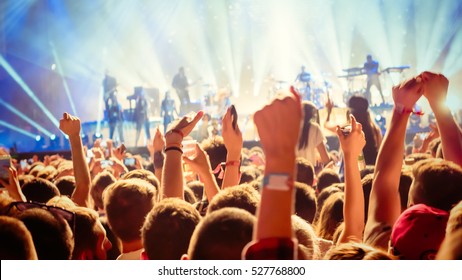 Party people enjoy concert at festival