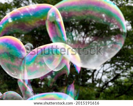 at the party, several large round multicolored bubbles are flying against the background of green trees