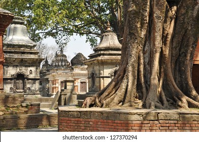 Pashupatinath Temple one of the most significant Hindu temples, Kathmandu, Nepal
