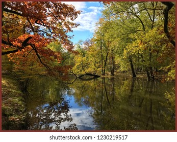 Passaic River In Autumn