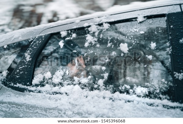 Passenger in a car behind glass. Winter is outside.\
Focus on glass