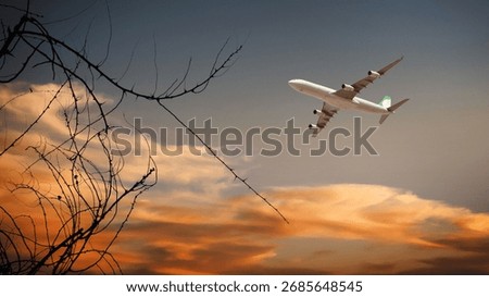 Passenger plane flying in sunset sky, orange colored clouds and tree silhouette.Travel by plane, vacation, transportation and airline concept image.