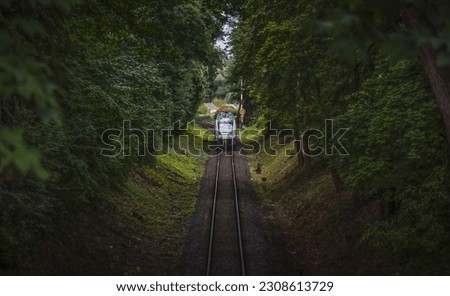 Passenger train in the tunnel of trees.