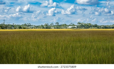 Passing clouds cast a large shadow on expanse of salt marsh early in the afternoon at Tolomato River Boardwalk Preserve in northeast Florida
