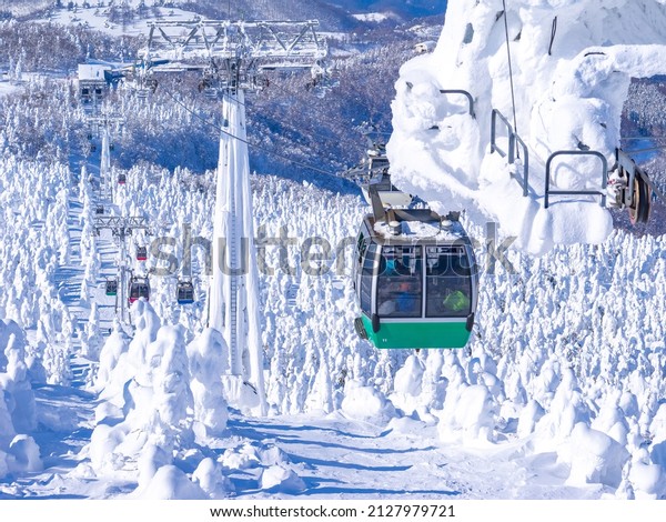 Passing through ice monsters\
(soft rime) plateau with cable car. (Zao-onsen ski resort,\
Yamagata, Japan)
