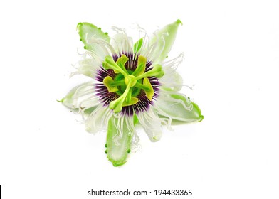 Passion Flower Isolated On White Background.