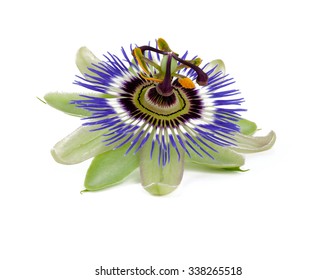 Passion Flower Isolated On White