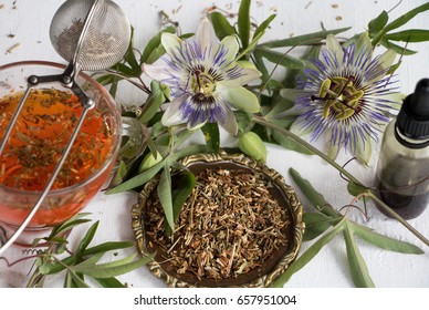 Passion Flower, The Medicinal Plant
