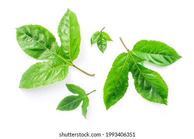 Passion Fruit Leaves  Isolated On White Background , Top View , Flat Lay.