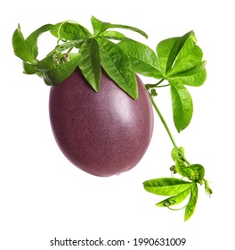 Passion Fruit With Leaves On White Background. Passiflora Plant