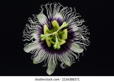 A Passion Fruit Or Lilikoi Flower