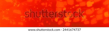 Passion Pattern Skin. Tile Background. Amethyst Watercolor. Animal Botanical. Trendy Cheetah. Dark Leopard Letters. Orange Leopard Zebra.