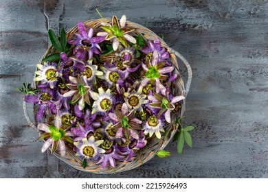 Passionflowers -Passiflora Incarnata and Blue Passionflower Caerulea .on grey wooden background - Shutterstock ID 2215926493