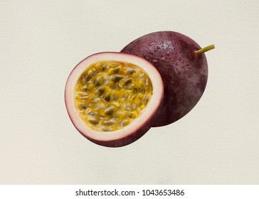 PassionFruit Watercolor Edit In Program From Reference