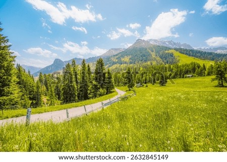 Passo Costalunga alpine pass and high mountains, Dolomites, Italy, Europe