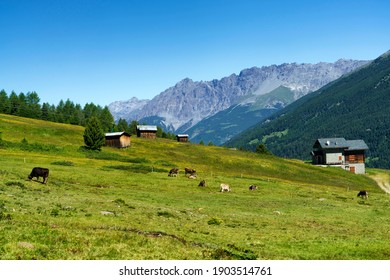 Passo Gavia, Provinz Sondrio, Lombardei, Italien: Bergpass-Landschaft im Sommer