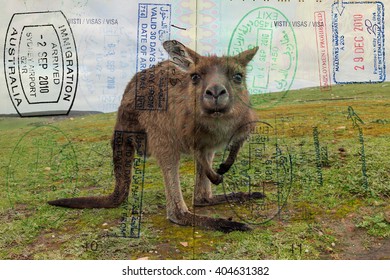 Passport Visa On Australia Scenic Destination