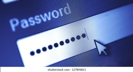 Password box  in Internet Browser on Computer Screen