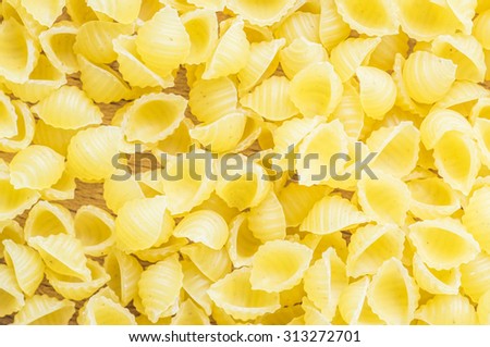 Pasta conchigliette for background closeup