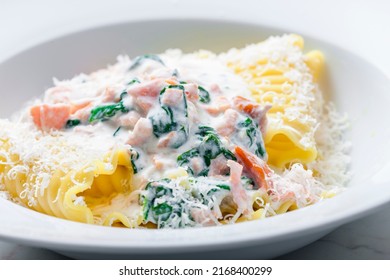 Pasta With Creamy Salmon Sauce With Spinach