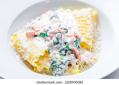 Pasta With Creamy Salmon Sauce With Spinach