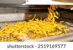 Pasta factory. Close-up of raw pasta on machines and conveyor. Pasta production equipment. Modern manufacturing plant of the pasta industry.