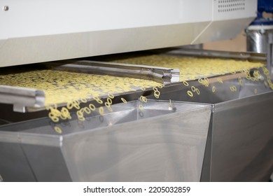 Pasta Factory And Stages Of Pasta Production. The Operation Of Drying Pasta On An Industrial Machine.