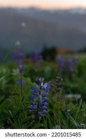 Pastel Colors Mountaintop Sunset Love