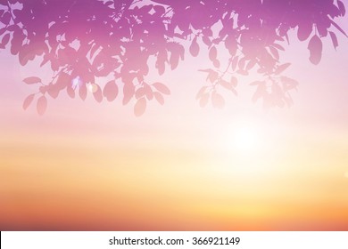 Pastel gradient blurred sky,sunset background with silhouette leaves foreground on soft focus sunshine bright peaceful morning summer. Rays light clean beach outdoor with abstract leaf bokeh smooth.
