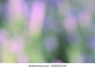 lavender green pastel background
