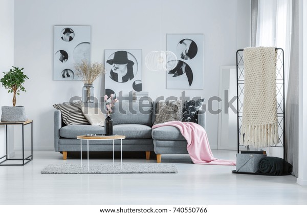 Pastel room\
with elegant gray sofa and pink\
flowers