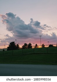 Pastel Sunset Behind Pine Treeline