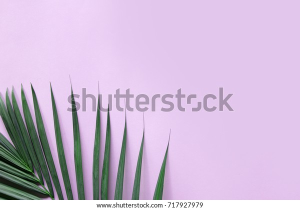 Pastel Tropical Background Stock Photo (Edit Now) 717927979
