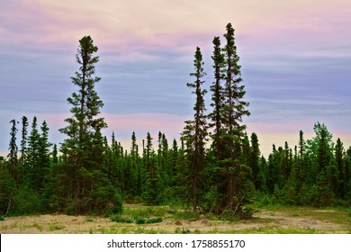 Pastel-colored Sky On A Summer Evening Over A Northern Boreal Forest Near The Town Of Happy Valley-Goose Bay, Province Of Newfoundland And Labrador, Canada. 