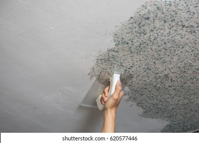 Pasting Liquid Wallpaper In The Apartment