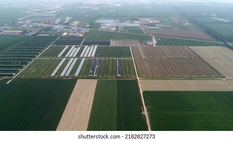 Pastoral Scenery Of North China Plain