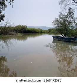 Pastoral View Of Sea Of Galilee, Kineret, From An Isolated Shore, North Israel