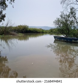 Pastoral View Of Sea Of Galilee, Kineret, From An Isolated Shore, North Israel