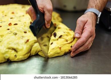 Pastry Chef Cuts Pieces Of The Dough For The Production Of Artisan Panettone.
