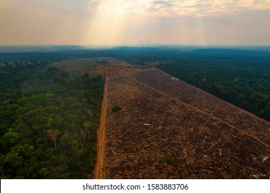 Pasture Areas Derived From Illegal Deforestation Near The Menkragnoti Indigenous Land. Pará - Brazil