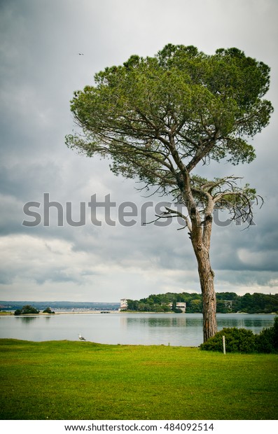 Pasture Barn National Park Brijuni Croatia Stock Photo Edit Now