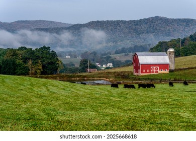 Pasture Field And Barn Farm Scene, Edray In Pocahontas County, West Virginia, USA